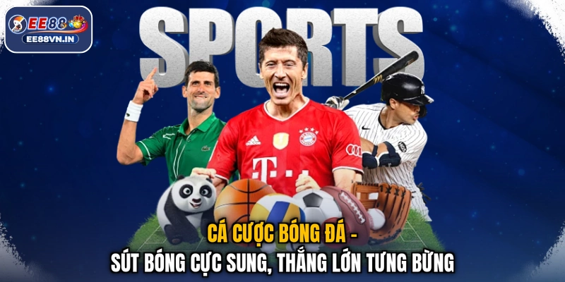 Cá Cược Bóng Đá - Sút Bóng Cực Sung, Thắng Lớn Tưng Bừng 1 Cá Cược Bóng Đá - Sút Bóng Cực Sung, Thắng Lớn Tưng Bừng